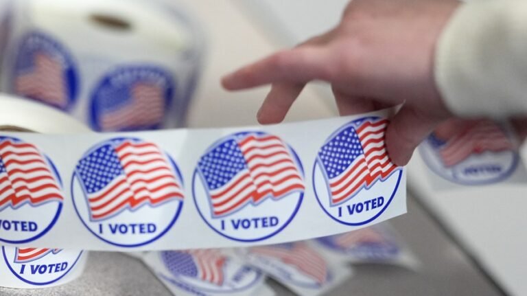 Virginia court rules in favor of Democrats in redistricting case