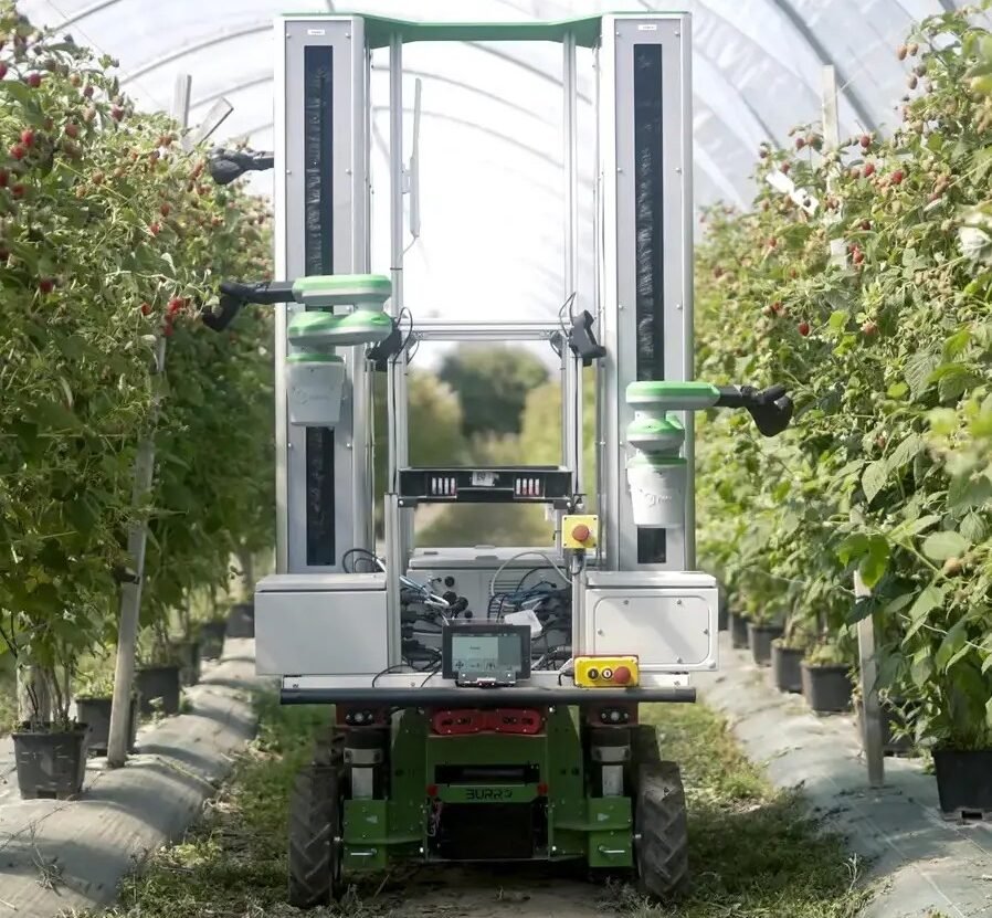 Agrifood Signals: Havra nets $113m for fresh produce ERP, ZBiotics GM probiotic expands to hospitality sector