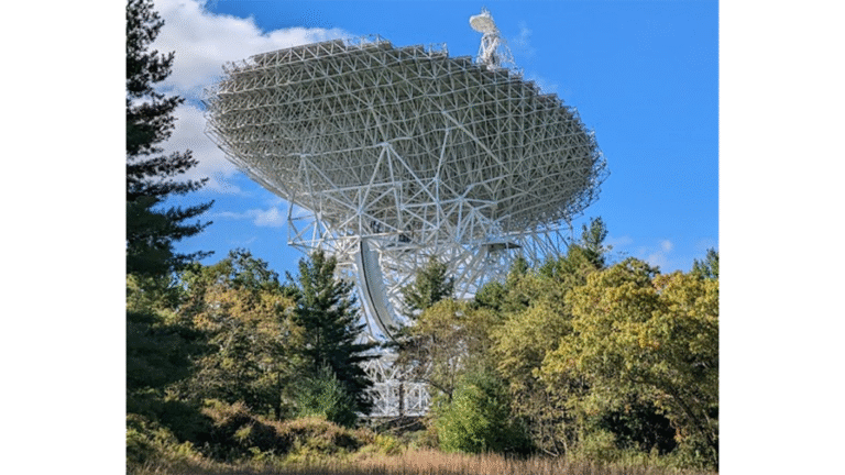 Revolutionizing Interference Detection to Protect the Silence of the Cosmos