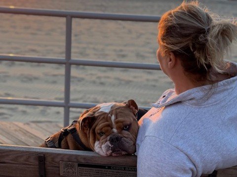 Meet Chilaquil: The Golden Retriever Making the Internet Smile