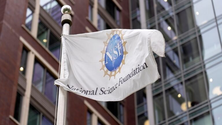 National Science Board members told by Trump administration they were terminated: Report
