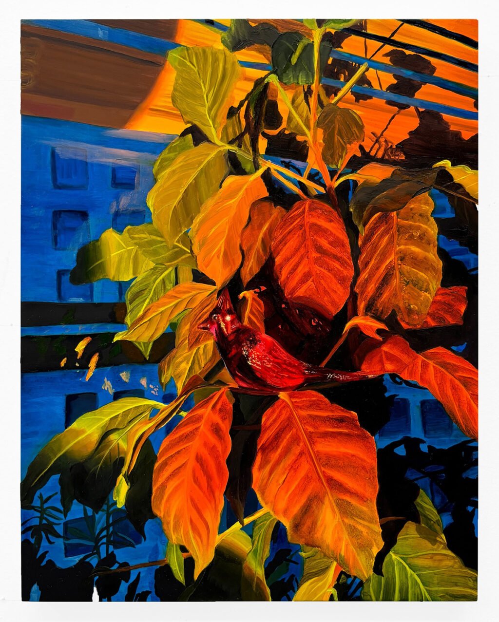 Artist Spotlight: Kelsey Shwetz