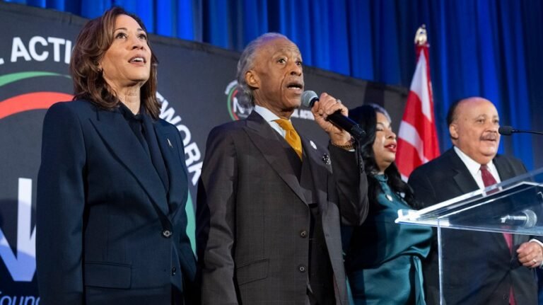 Sharpton: Democrats want a ‘fighter’ to take on Trump amid 2028 speculation