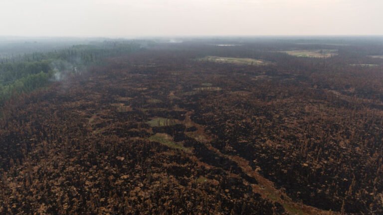 Alaska’s Wildfires Heat the Planet, but Canada’s Cool It
