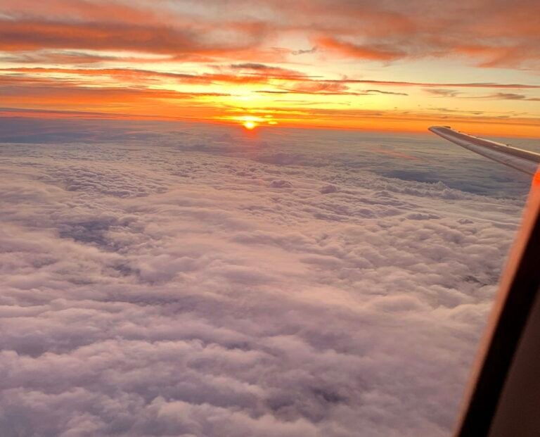 The Softest Parts of Ourselves Don’t Need Erased 