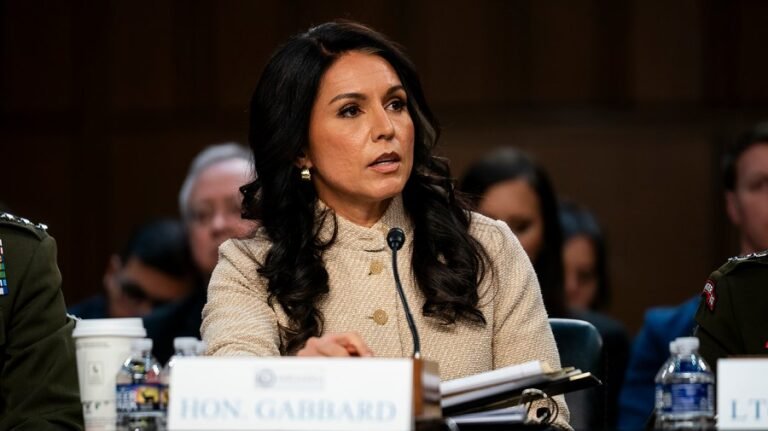 White House calls reports of Gabbard's impending ouster 'fake news'