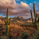 Things To Do In Tucson, Arizona: The Southwest's Best-Kept Secret