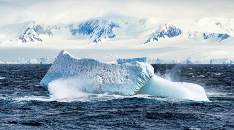 Tracing the Path of PFAS Across Antarctica