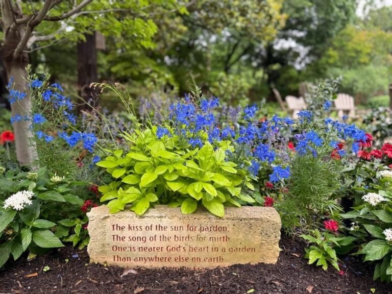 May Flowers with Patriotic Flavors