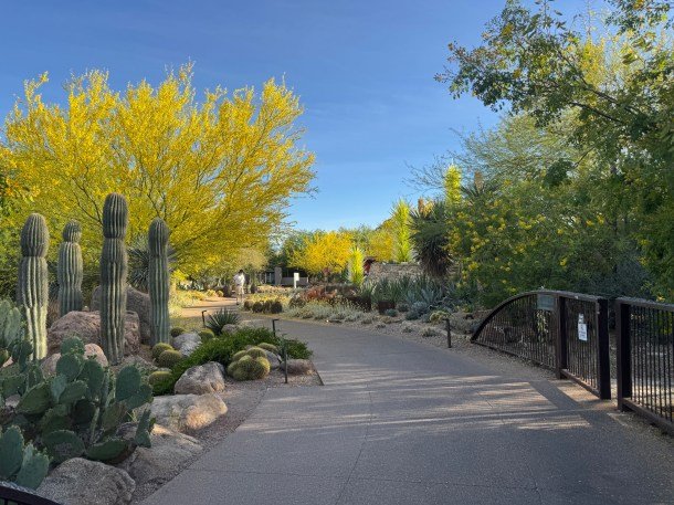 Botanical Desert Of The Southwest