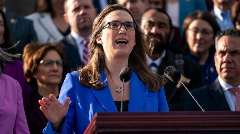 Democrat on Trump's ballroom: 'My constituents can’t afford f---ing groceries or utility bills'