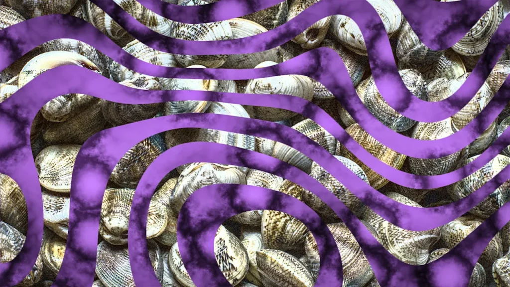 Norovirus fears prompt FDA warning to restaurants and retailers: Stop selling this recalled shellfish