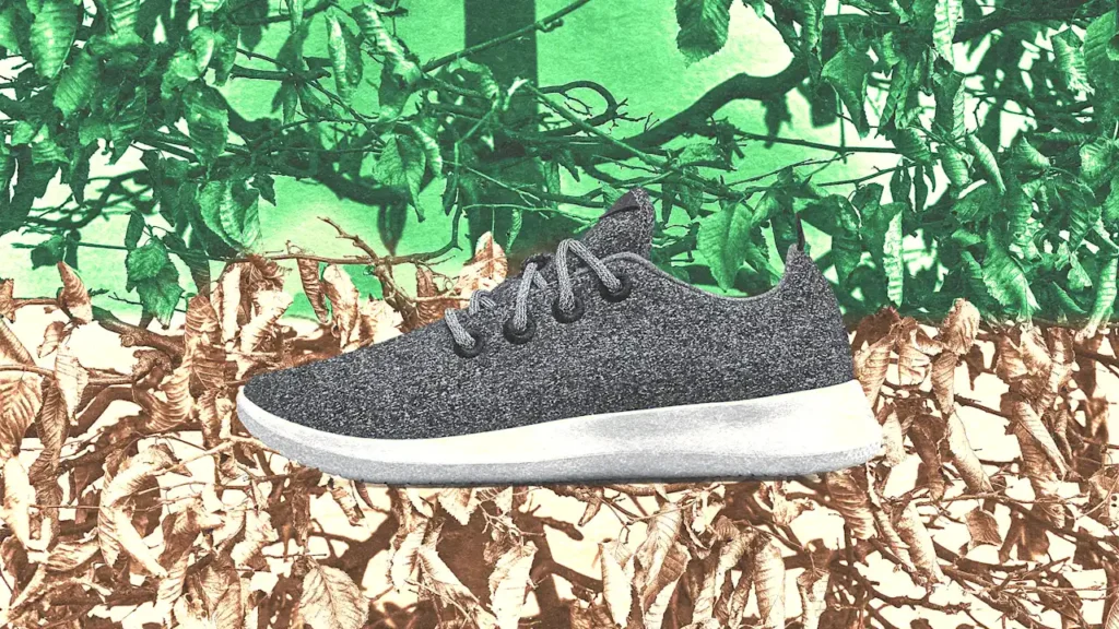 Allbirds is dumping its environmental mission as it pivots to AI