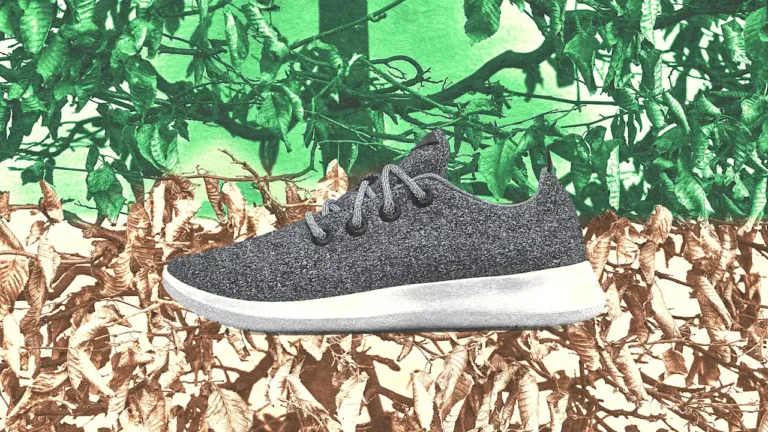 Allbirds is dumping its environmental mission as it pivots to AI