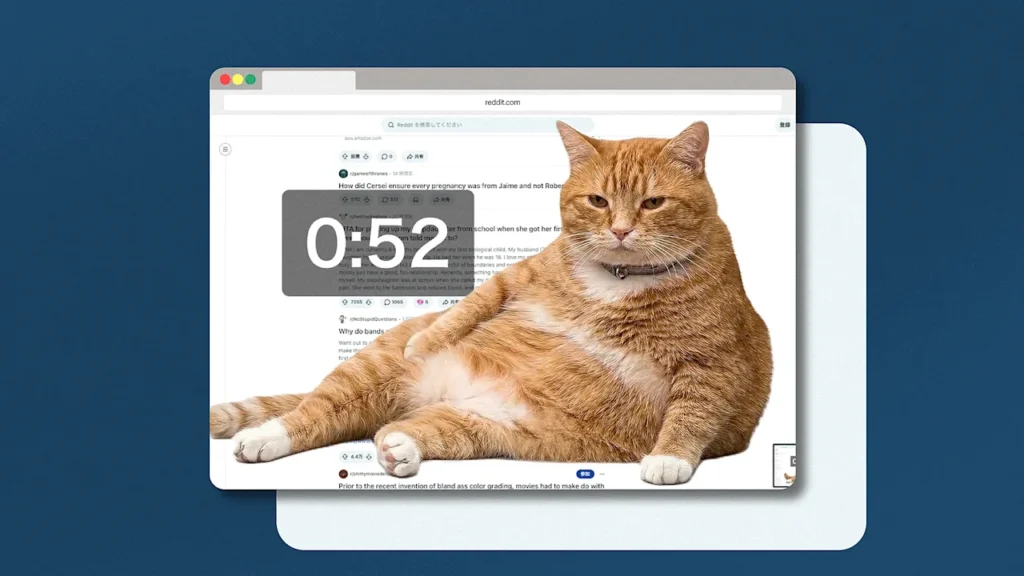 Addicted to social media? This adorable, infuriating cat will stop you from doomscrolling