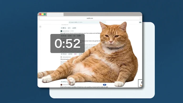Addicted to social media? This adorable, infuriating cat will stop you from doomscrolling
