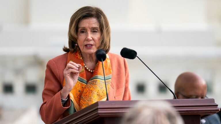 Pelosi: 'Be on guard' for 'fake count' in midterm elections