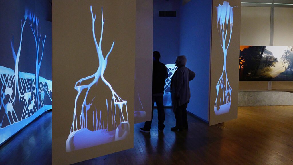 An Art-Science Partnership Offering New Views of Dynamic Landscapes