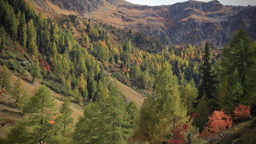 Antibiotic Resistance Might Get a Boost from Droughts