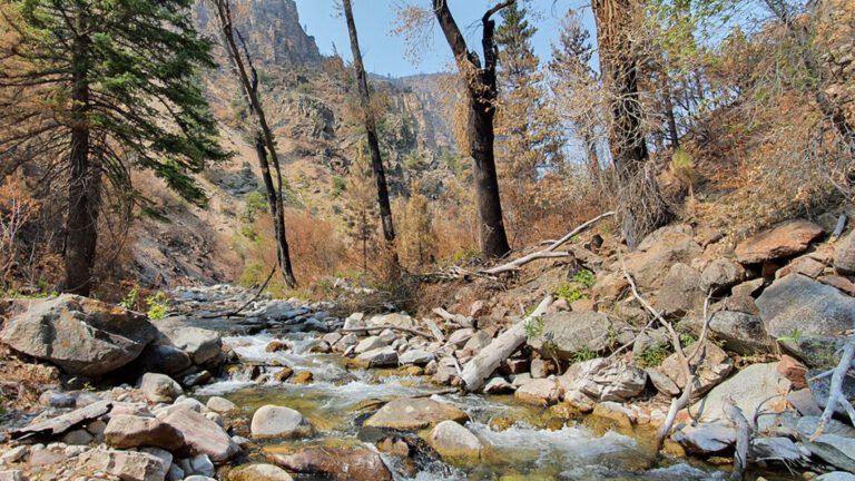 How Wildfires Worsen Flood Risk
