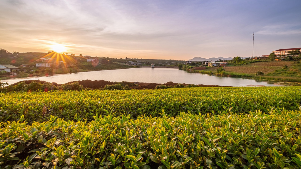 Managed Agriculture Hinders Predictability of Critical Zone Features