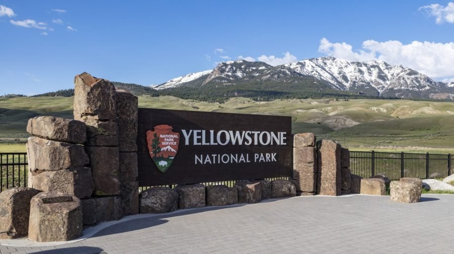 NPS closes parts of Yellowstone after bear attack 
