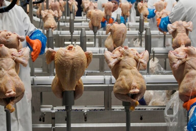 New proposal could legalize killing more animals