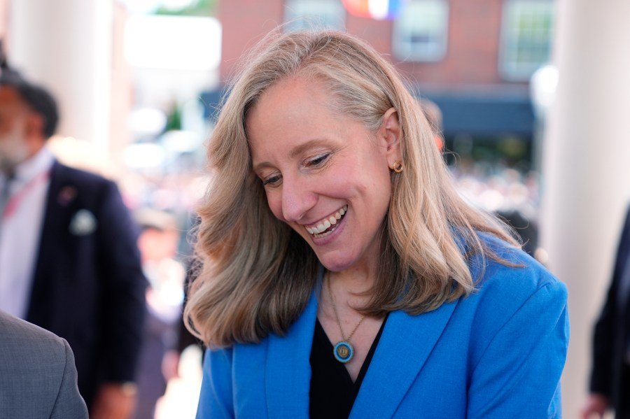 Virginia Democrats won the vote on the map, but voters lost the fight