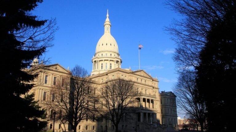 Democrats in Michigan keep state Senate majority with special election win