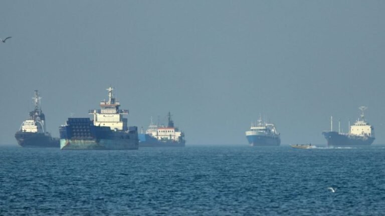 Iran, Oman discuss Strait of Hormuz toll system: Report