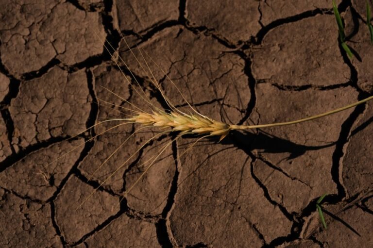 SEC moves to nix climate rule