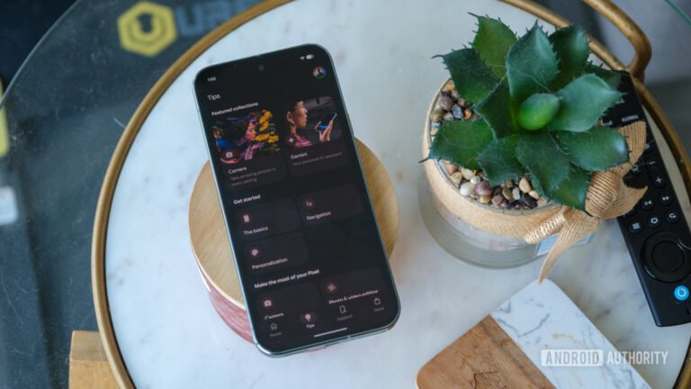 Some Pixel owners are suddenly losing access to most of the My Pixel app
