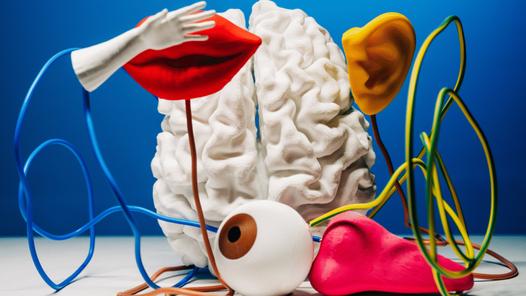 Design for the ADHD brain