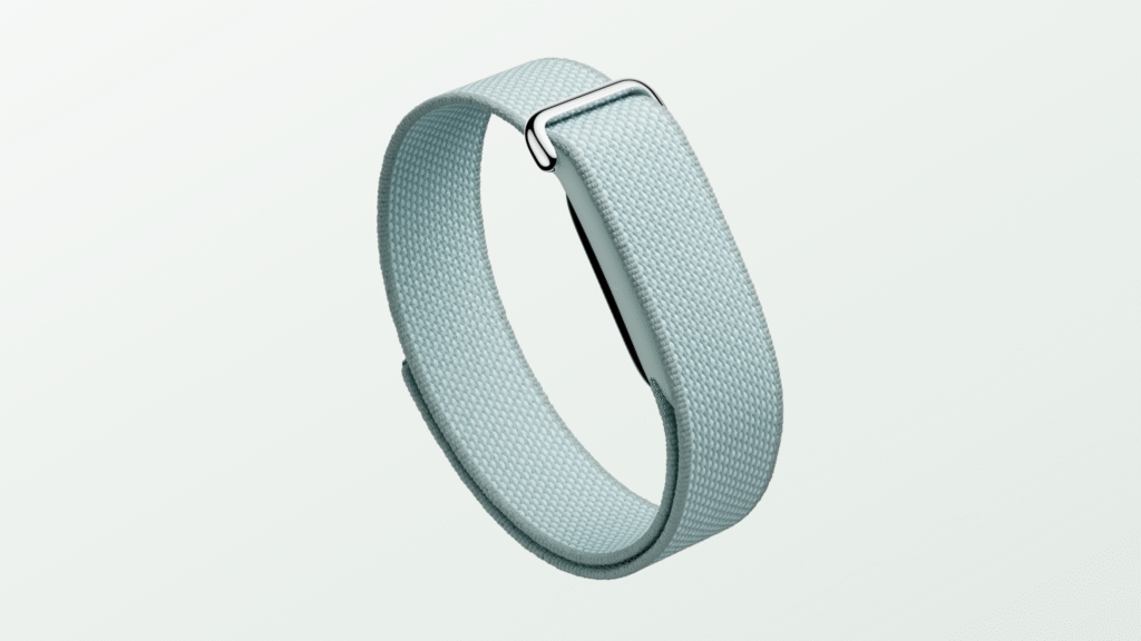 Google Fitbit Air Release Date