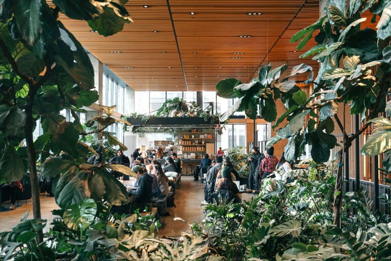 How I Got My Job Running Cafes Out of Climbing Gyms