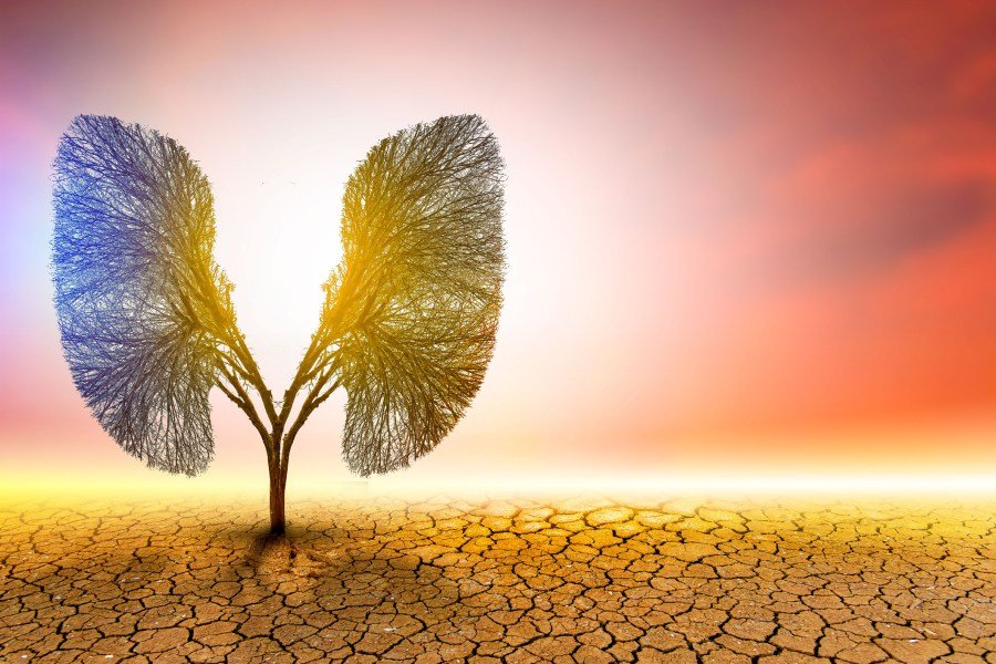 Repeal of EPA’s endangerment finding won’t change the realities of chronic disease