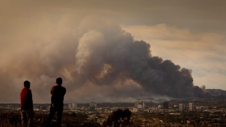 State Farm faces millions in fines for handling of Los Angeles wildfire claims