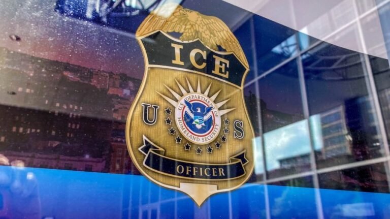 Trump picks new acting ICE director
