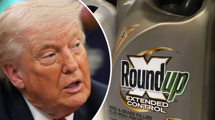 Democrats seize on MAHA's growing frustration with GOP 