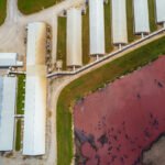 Exclusive: Waste methane to fertilizer startup Windfall Bio auctions off assets