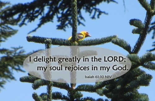 My Soul Rejoices In My God – Isaiah 61:10