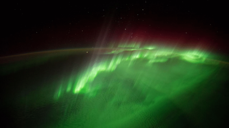 Undulations in Auroral Arcs at Plasmaspheric Plume Boundary