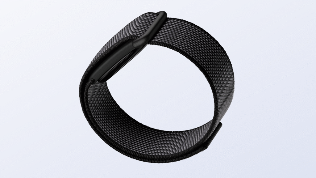Google Fitbit Air Price