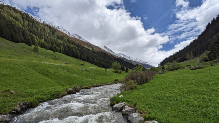 Tracing Water’s Hidden Journey Through the Earth’s Living Skin