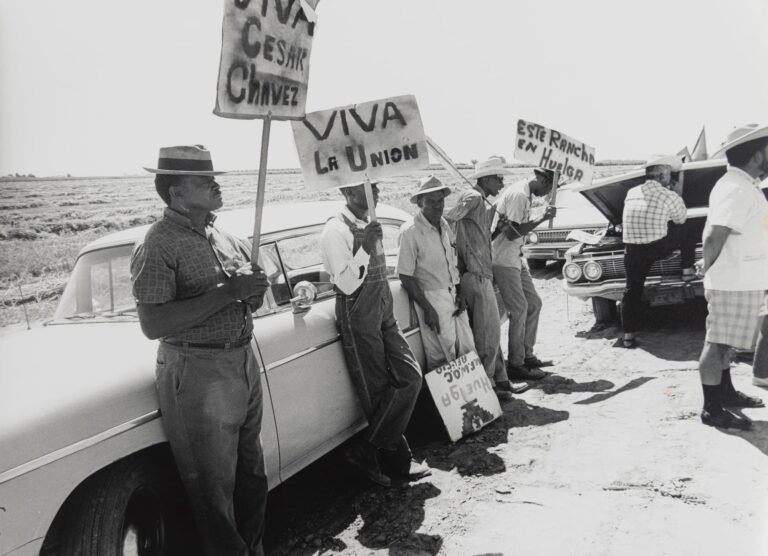I'm a Chicana Curator. This Is Why I Removed Cesar Chavez From My Show