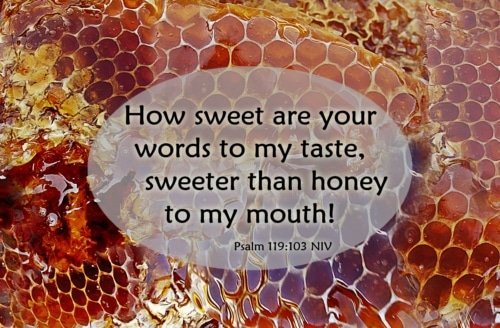 How Sweet Are Your Words – Psalm 119:97, 103