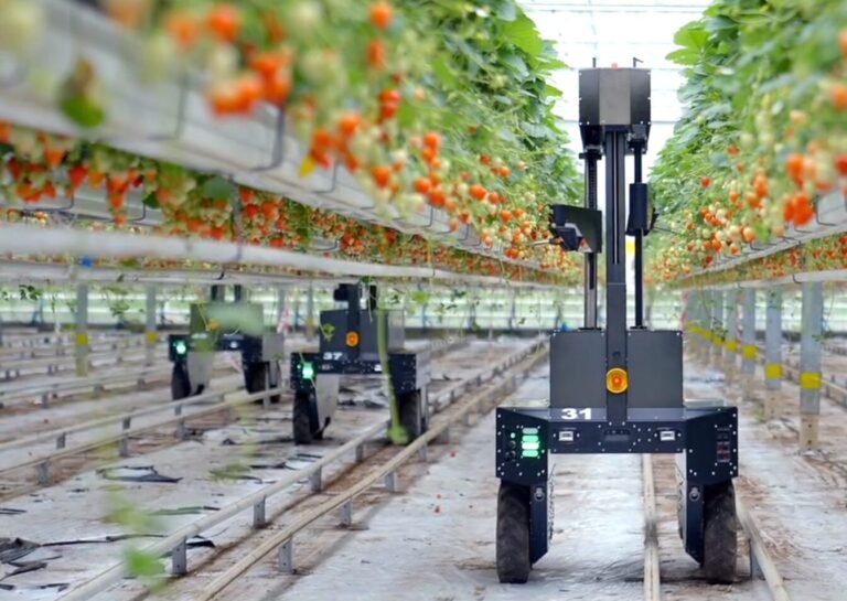 On the heels of fresh funding, Oishii has ‘crossed the chasm’ of unit economics in vertical farming
