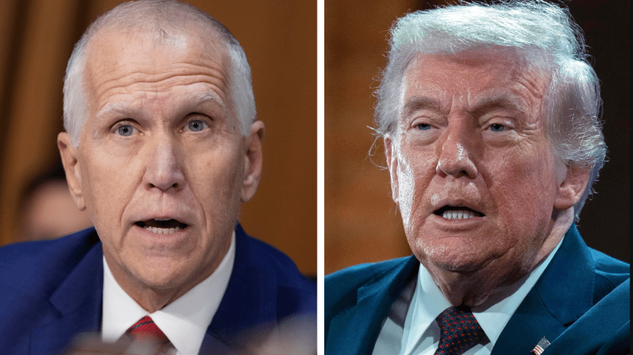 Trump rips Tillis after compensation fund criticism: 'Nitpicker'