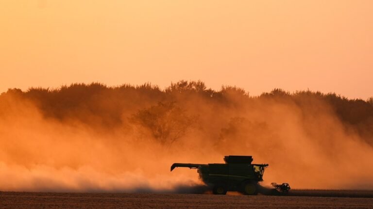 White House: China to buy at least $17B in US agricultural products per year