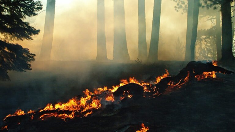 How Much Will Western Wildfires Worsen Under Warming?